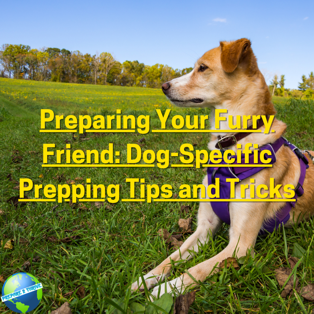 Preparing Your Furry Friend: Dog-Specific Prepping Tips and Tricks