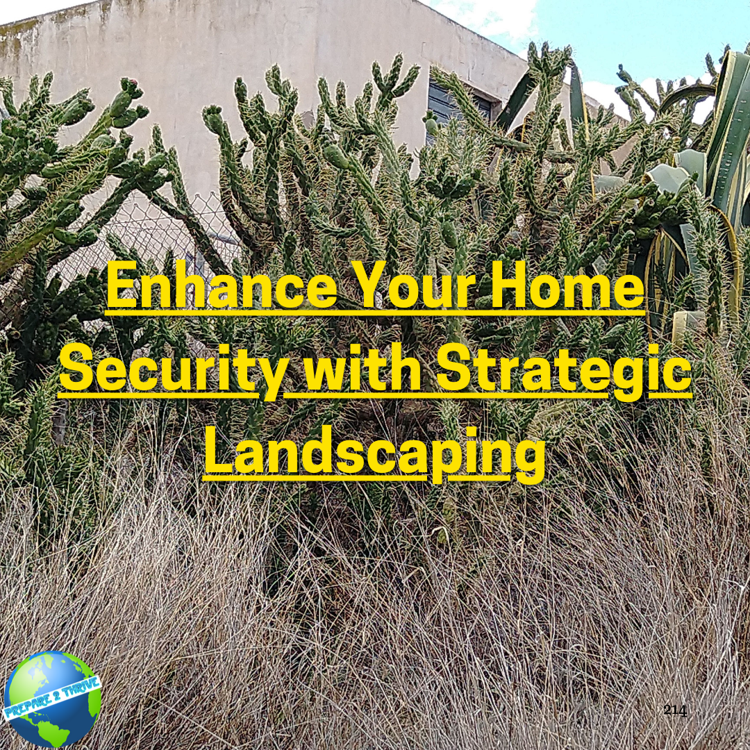 Enhance Your Home Security with Strategic Landscaping