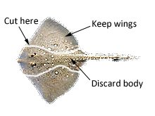 Preparing a skate or ray for cooking