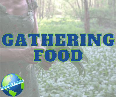 Gathering Food