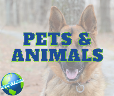 Pets & Animals